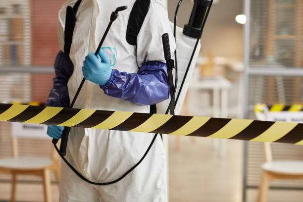 Professional Sewage Cleanup technician working in Kingsbury, TX